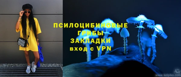 PSILOCYBIN Алексин