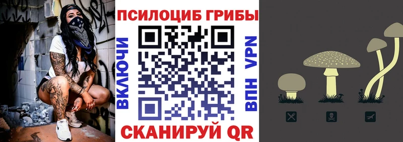 Псилоцибиновые грибы мицелий  Кудрово 